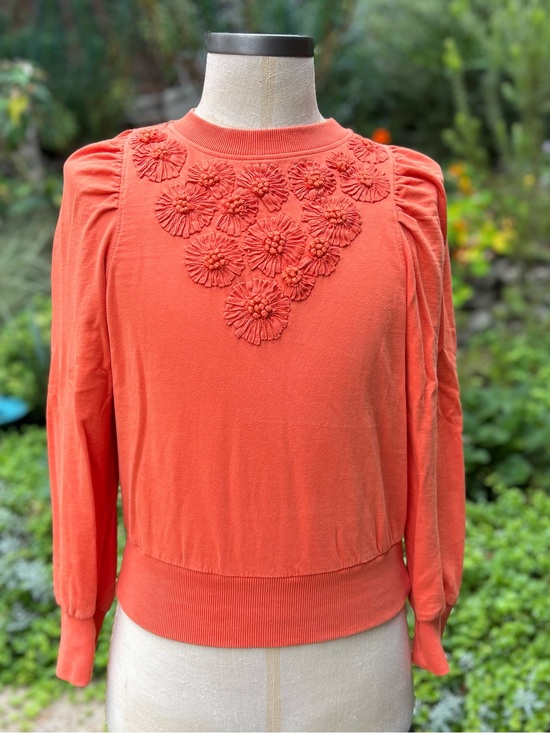 Anthropologie Tops - Anthropologie Orange Embroidered Sweatshirt